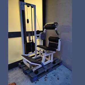 Spendi-Bene-EUITAMAAP03A-S003-001A-Sport-Palestre-Technogym-Lower-Back-Img01