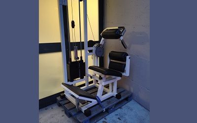 Spendi-Bene-EUITAMAAP03A-S003-001A-Sport-Palestre-Technogym-Lower-Back-Img01