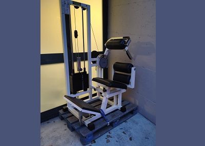Spendi-Bene-EUITAMAAP03A-S003-001A-Sport-Palestre-Technogym-Lower-Back-Img01